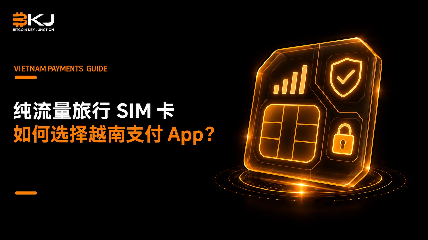 使用纯流量旅行 SIM 卡时,如何选择越南支付 App